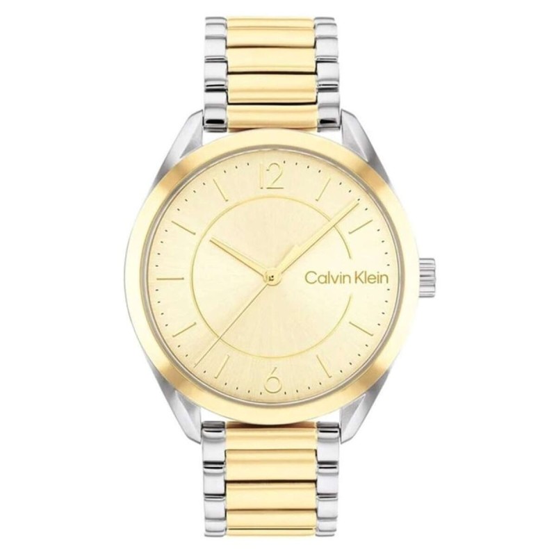Men's Watch Calvin Klein 25200192 Golden (Ø 30 mm)