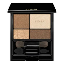 Eye Shadow Palette Kanebo...