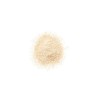 Loose Dust Clinique Blended Invisble bend 35 g