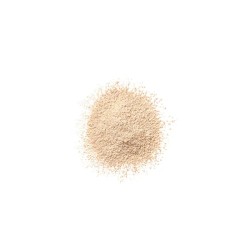 Loose Dust Clinique Blended Nº 03 Transparency Nº 03-Transparency 25 g