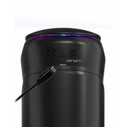 Vortex Dame Rose Pipedream