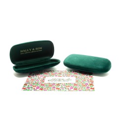 Unisex Sunglasses Hally & Son HS004S02