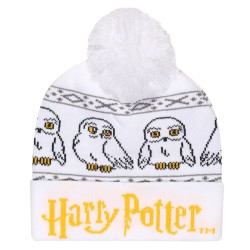 Hat Harry Potter Hedwig...