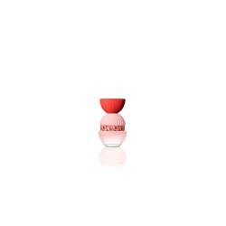 El Ganso Fun y Chic Edp 100 Spray