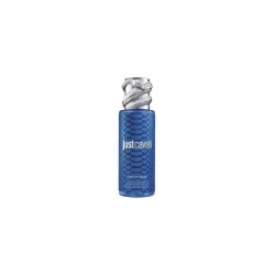 Roberto Cavalli Rc Just Cavalli Mist Blue 250ml