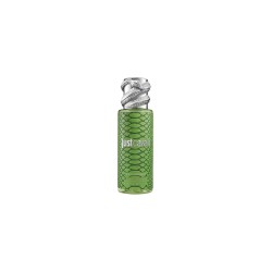 Roberto Cavalli Rc Just Cavalli Mist Green 250ml