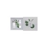 Angel Schlesser Instant Tempting Bergamont Watercolor Coffret Eau De Toilette Spray 100ml Set 2 Pieces