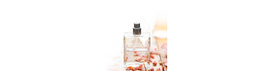 Perfumes | Cosmetics