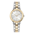 Ladies' Watch Trussardi R2453115510