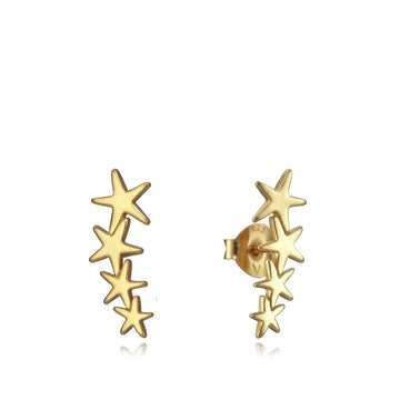 Ladies' Earrings Viceroy 5065E100-08