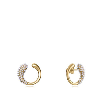 Ladies' Earrings Viceroy 15150E01012